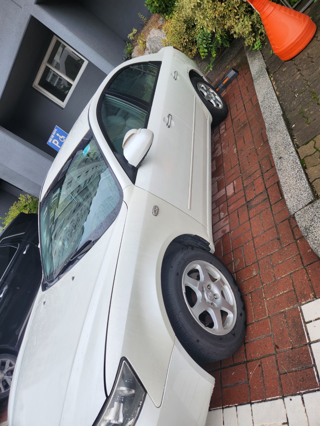KakaoTalk_20250225_110854955_02.jpg